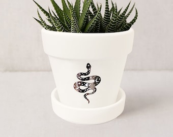 Celestial Snake Planter: Witchy Gothic Succulent Pot with Saucer