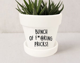 Bunch of F*@king Pricks! |Punny Pun Plant Pot | Indoor Succulent Planter White Ceramic Planter w/ Saucer | Plant NOT included (Matte White)