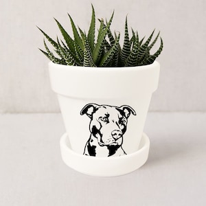 Pitbull Succulent Planter with Saucer: Dog Lover Gift