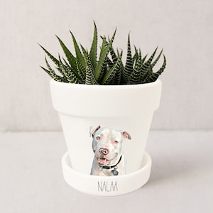 Jardinière personnalisée pour animaux de compagnie Portrait de chien Cadeaux personnalisés pour les amoureux des chiens Pot pour plante grasse avec soucoupe Plantes NON incluses Blanc image 9