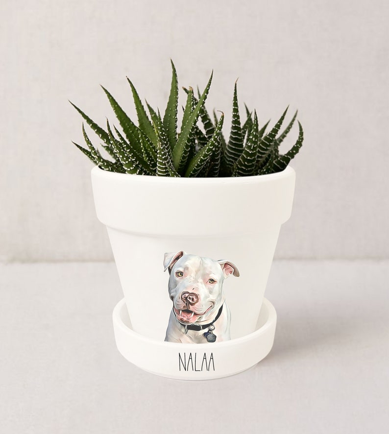 Jardinière personnalisée pour animaux de compagnie Portrait de chien Cadeaux personnalisés pour les amoureux des chiens Pot pour plante grasse avec soucoupe Plantes NON incluses Blanc image 9