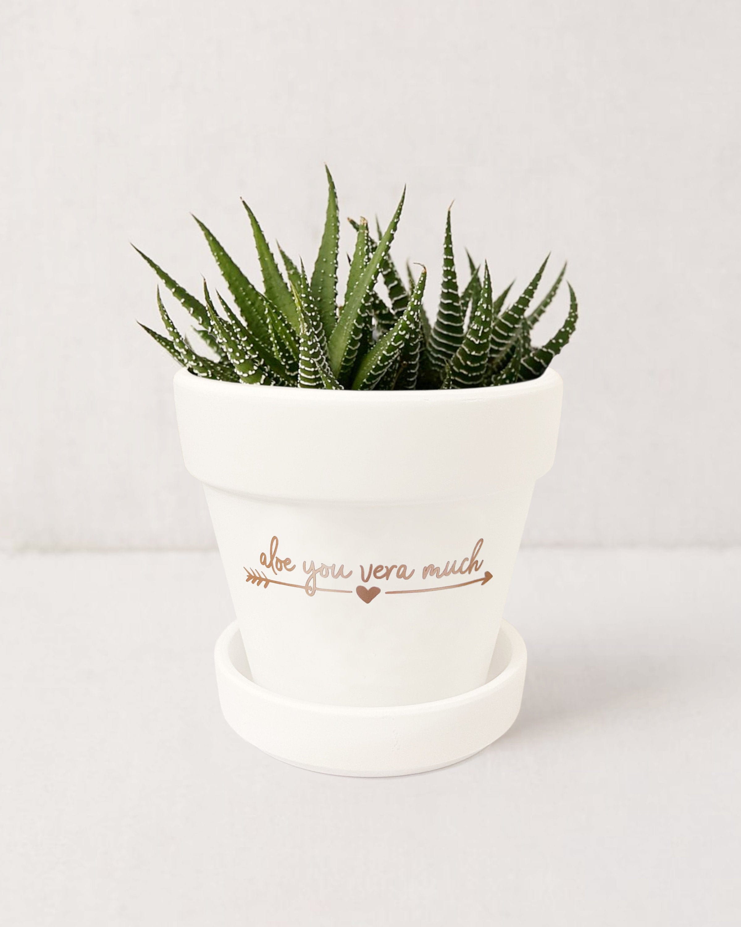 Aloe You Vera Much Plant Pot: Funny Succulent Planter With Tray - Etsy