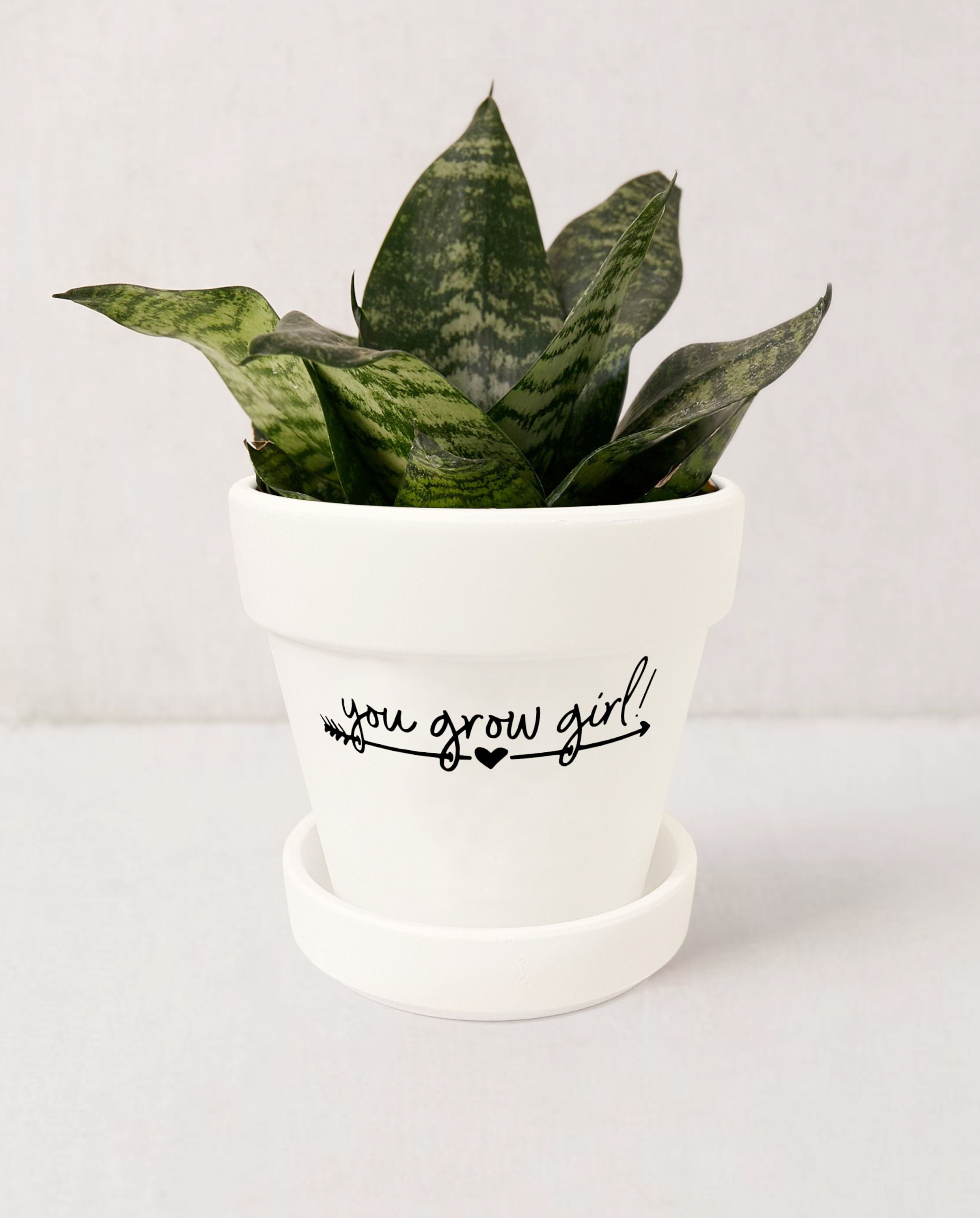 Flower Planter Garden Lovers Gift for Women Unique Inspirational Gifts for Her Friends Personalised 'You Grow Girl' Plant Pot Small Planter 