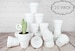 20-Pack 2.5' White Terra Cotta Clay Pots Mini Great for Succulent & Cactus Nursery Planter, Craft, Wedding Party Favors (Matte White Bisque) 