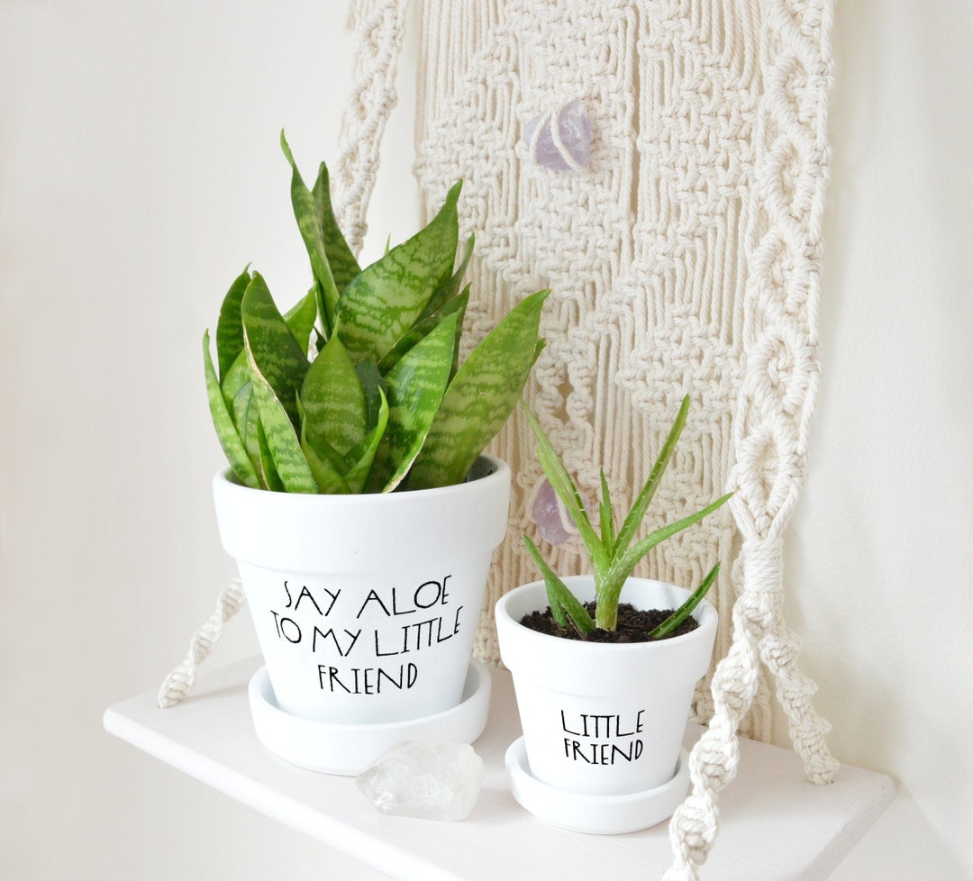 Funny Succulent Planter Set: Pun Plant Pot Gift, Matte White Pottery - Etsy