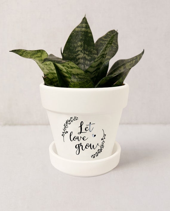 Let Love Grow Plant Pot | Plant Lover Gift | White Succulent Pot Indoor  Planter w/ Saucer | Wedding Decor | Plant NOT included (Matte White) -  Etsy.de