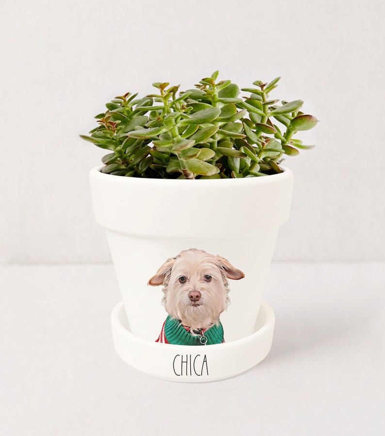 Jardinière personnalisée pour animaux de compagnie Portrait de chien Cadeaux personnalisés pour les amoureux des chiens Pot pour plante grasse avec soucoupe Plantes NON incluses Blanc image 6