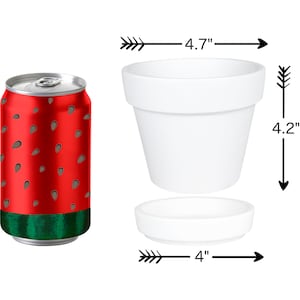 May include: A white ceramic planter with a 4.7 inch diameter and 4.2 inch height. The planter has a removable saucer with a 4 inch diameter. A red can with a watermelon pattern is next to the planter.