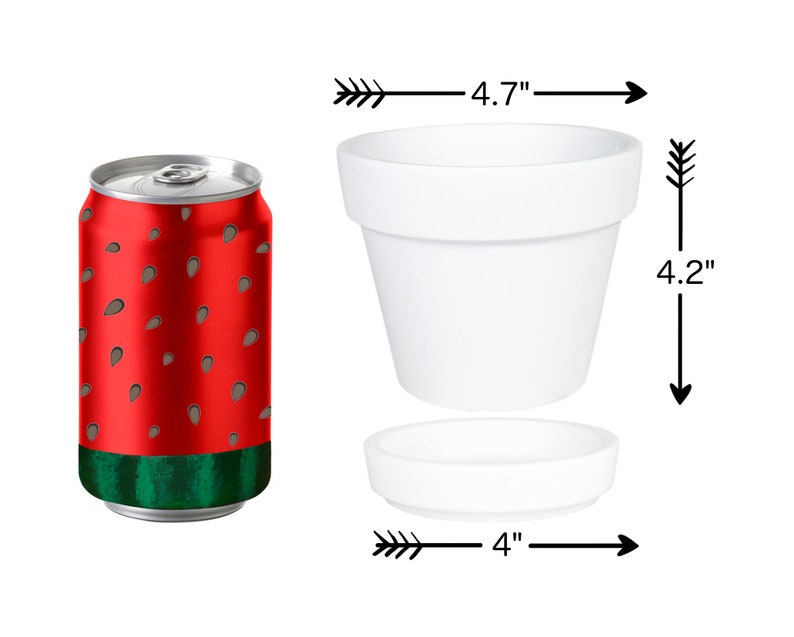 May include: A white ceramic planter with a 4.7 inch diameter and 4.2 inch height. The planter has a removable saucer with a 4 inch diameter. A red can with a watermelon pattern is next to the planter.