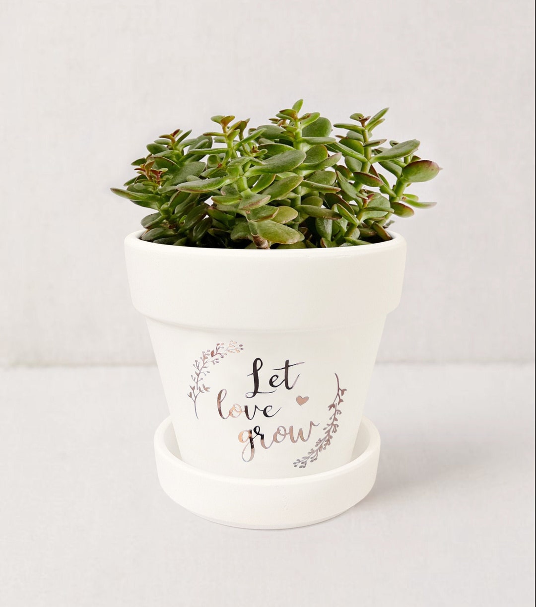 stahl anal plug Let Love Grow Plant Pot | Plant Lover Gift | White Succulent Pot Indoor  Planter w/ Saucer | Wedding Decor | Plant NOT included (Matte White)