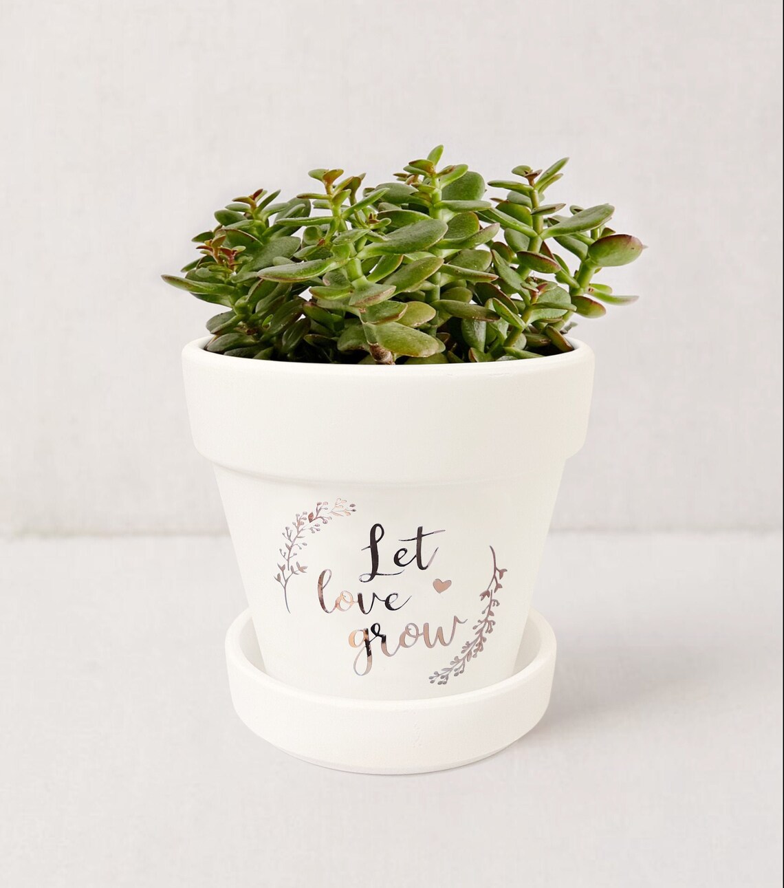 Let Love Grow Plant Pot Plant Lover Gift White Succulent Etsy