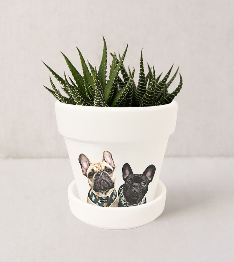 Jardinière personnalisée pour animaux de compagnie Portrait de chien Cadeaux personnalisés pour les amoureux des chiens Pot pour plante grasse avec soucoupe Plantes NON incluses Blanc image 7