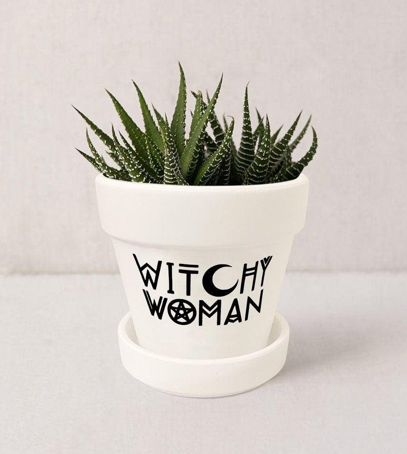 May include: White ceramic planter with the text "Witchy Woman" in black lettering, featuring a crescent moon and a pentagram. The planter is filled with a green succulent plant.