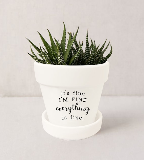 I'm Fine It's Fine Everything is Fine Planter Friends Ross Funny Plant Pot  Succulent Pot W/ Saucer Plants NOT Included matte White 