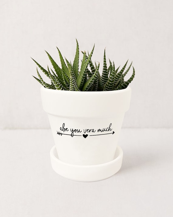 Aloe You Vera Much Plant Pot: Funny Succulent Planter With Tray - Etsy  Norway