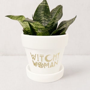 May include: White ceramic planter with a gold inscription that reads "Witchy Woman" with a crescent moon and a pentagram. The planter has a green snake plant inside.