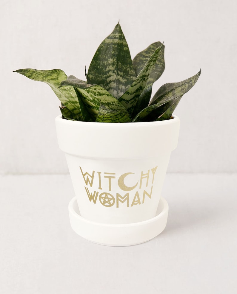 May include: White ceramic planter with a gold inscription that reads "Witchy Woman" with a crescent moon and a pentagram. The planter has a green snake plant inside.