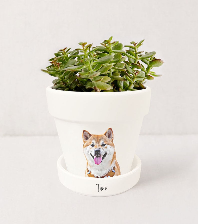 Jardinière personnalisée pour animaux de compagnie Portrait de chien Cadeaux personnalisés pour les amoureux des chiens Pot pour plante grasse avec soucoupe Plantes NON incluses Blanc image 8