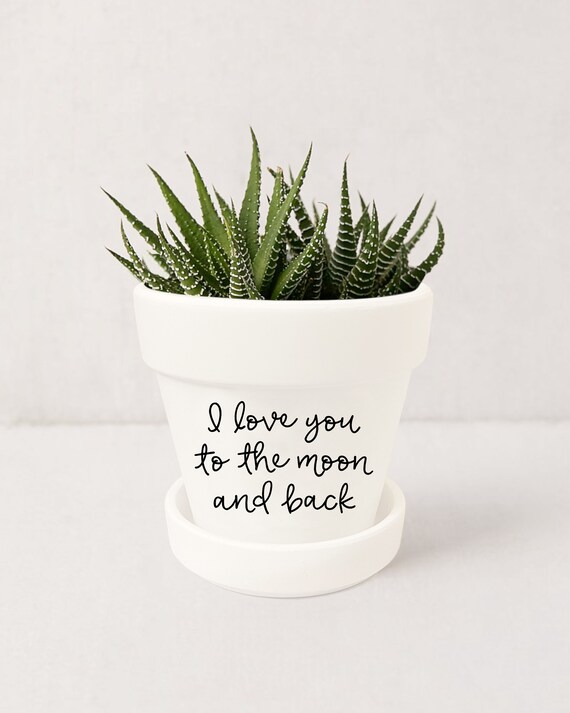 I Love You Succulent I Love You Succulent