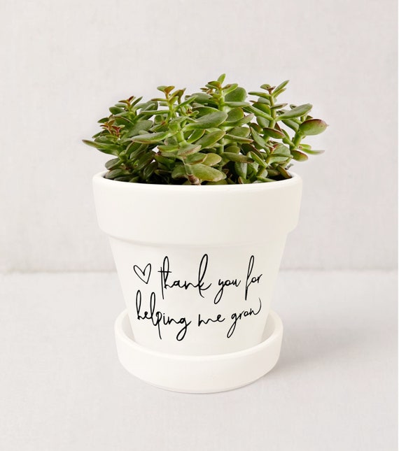 thankyou planter thankyou planter