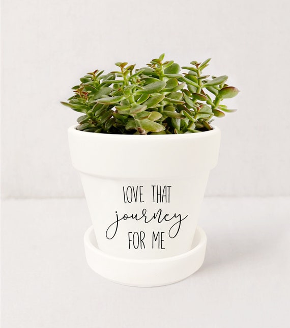 The 25 Cutest Pots And Planters For All Of That Gardening You're Doing
