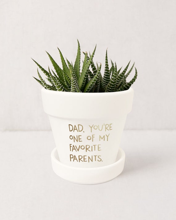 Plant Mom Planters and Pots Succulent Pot Please Don’t Die Plant Lover Flower Pot Ceramic Vase Hostess Gift, Plant Dad