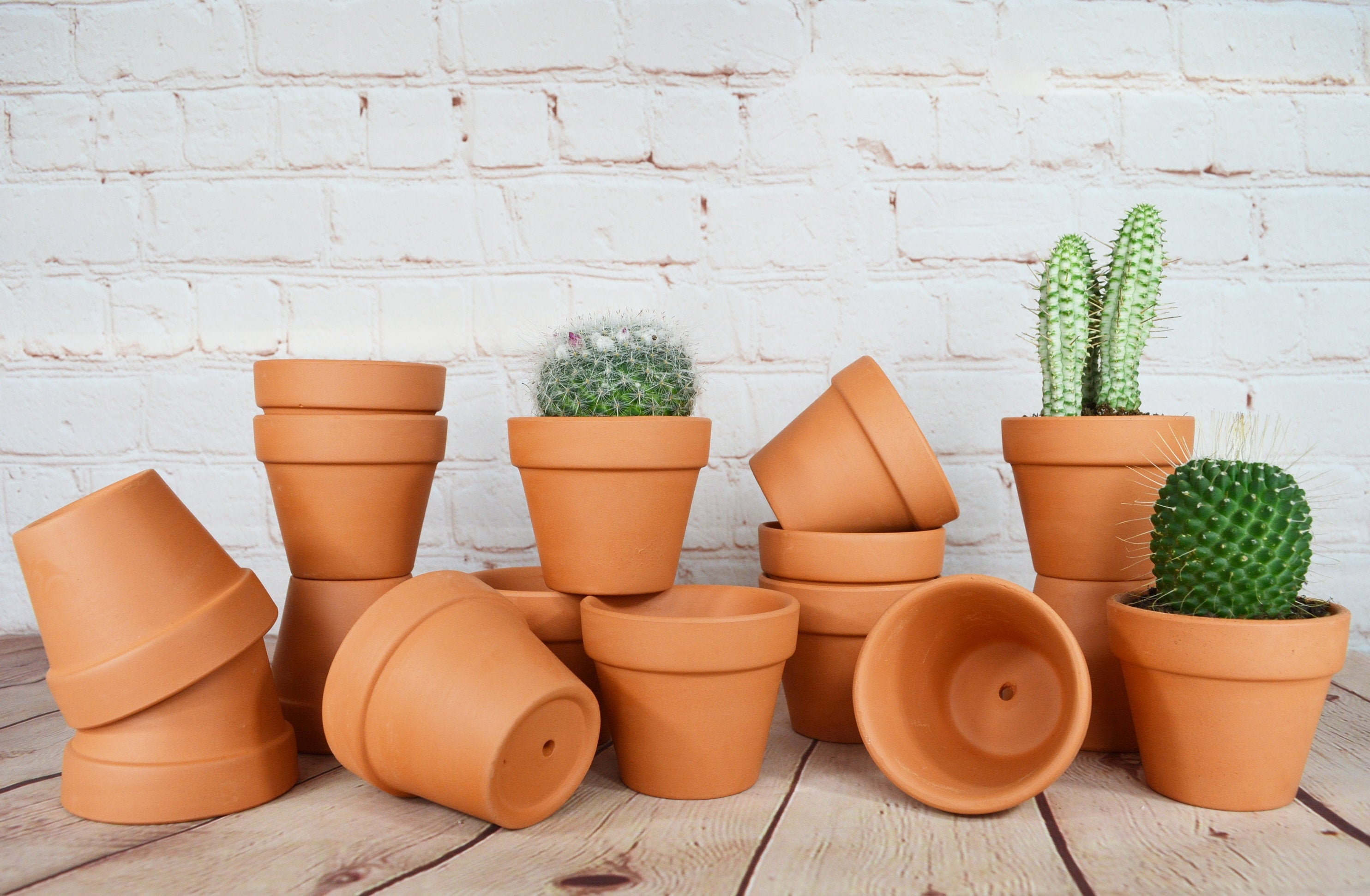 16-pack Small Terracotta Clay Pots 2.5 X 3 Great - Etsy