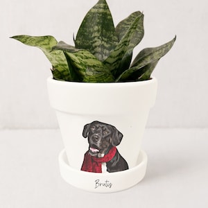 Jardinière personnalisée pour animaux de compagnie Portrait de chien Cadeaux personnalisés pour les amoureux des chiens Pot pour plante grasse avec soucoupe Plantes NON incluses Blanc image 5