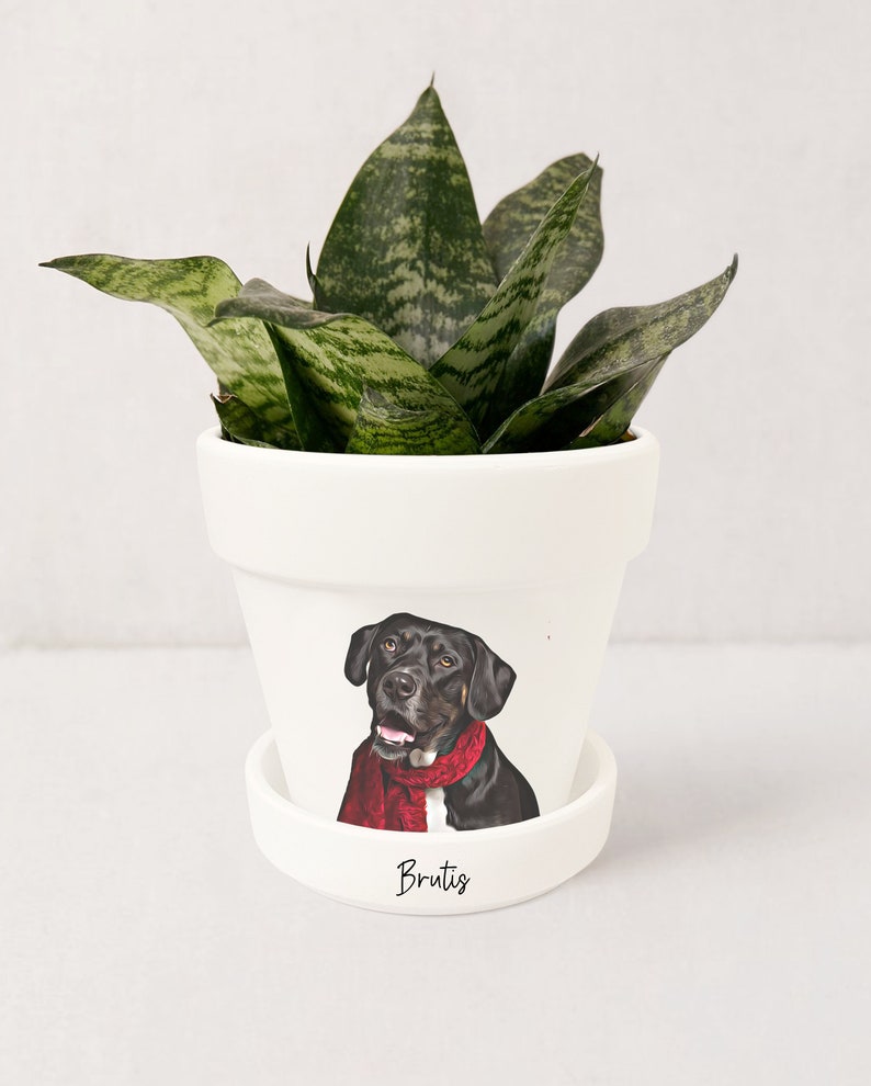 Jardinière personnalisée pour animaux de compagnie Portrait de chien Cadeaux personnalisés pour les amoureux des chiens Pot pour plante grasse avec soucoupe Plantes NON incluses Blanc image 5