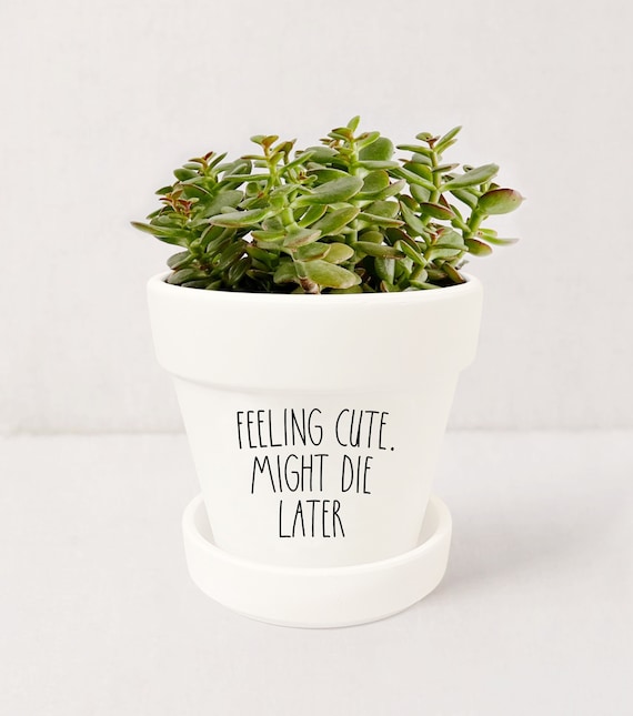 cat plant pot Custom Cat's Name Plant Pot, Personalised Gifts, Unique Cat Lover  Present,Gift For Cat Owner,Family Gift, Pet Lover, Line Art Cute Cat/Dog