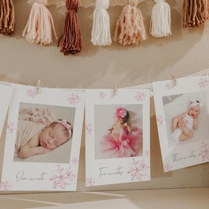 Pink Snowflake Baby Birthday Photo Banner | Monthly Photo Banner | First Year Photos | Baby Photo Milestones | Fully Editable Printable#WS1