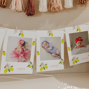 Little Lemon Monatliches Fotobanner - Pink Lemonade 1. Geburtstag Dekor - Babys Erstes Jahr Fotos - Vollständig bearbeitbare Partydekoration #SU0