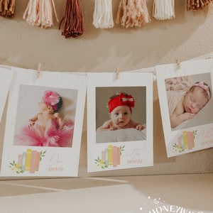 My First Chapter Birthday Monthly Photo Banner, Storybook A New Chapter Birthday Banner, Baby's First Year Photos, Fully Editable#Y236