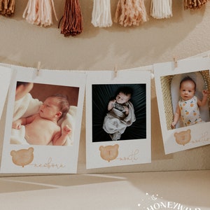 Modern Bear 1st Birthday Monthly Photo Banner, Teddy Bears Picnic, Brown Bear Birthday Banner, Baby&#39;s First Year Photos, Fully Editable#Y231