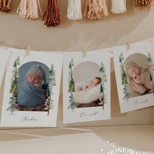 Evergreen Forest 1st Birthday Monthly Photo Banner, Winter Onederland Birthday Banner, Baby&#39;s First Year Photos, Fully Editable#W233