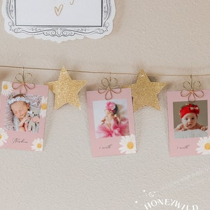 Pink Daisy Monthly Photo Banner, Little Daisy 1st Birthday Photo Banner, Baby First Year Photos, Daisy Birthday Decor, Fully Editable#S15