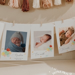 The Wonderful Things You Will Be Baby 1st Birthday Photo Banner, Monthly Photo Banner, Baby's First Year Photos, Fully Editable#Y238