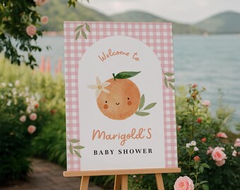 Puede incluir: Un letrero de baby shower sobre un caballete de madera. El letrero tiene un fondo de cuadros rosas con un arco blanco con una naranja de acuarela con una cara sonriente. El texto dice "Bienvenida a la fiesta de bienvenida de Marigold".