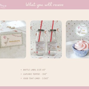 One Silly Goose Birthday Bundle, editable pink goose-themed 1st birthday invitation and décor set for a girl's first birthday.