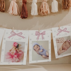 Pink Bow Snowflake Winter Girl 1st Birthday Photo Banner | Monthly Photo Banner | First Year Photos | Editable Baby Photo Milestones#WS7