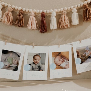 Pastel Blue Baby Boy Birthday Photo Banner, Monthly Photo Banner, First Year Photos, Baby Photo Milestones, Fully Editable Printable#R20