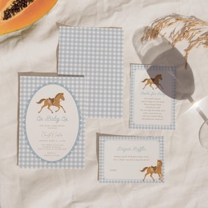 Może przedstawiać: Zestaw zaproszeń na baby shower w jasnoniebiesko-białą kratkę vichy. Karty zawierają ilustracje brązowych koni, owalną ramkę oraz tekst Oh Baby Co, Books for Baby i Diaper Raffle wraz ze szczegółami dotyczącymi wydarzenia.