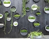 Minimalist Hanging Wall Planter, Hanging Planter, Indoor Outdoor Hanging Plant Pot