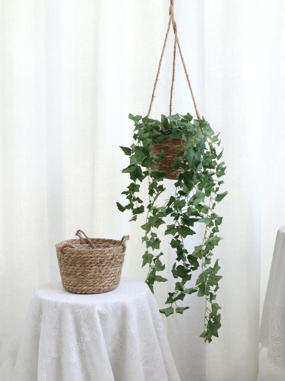 hanging planter with drainage tray QCQHDU 2 Pack Hanging Planters for Indoor Plants, Outdoor Hanging Bask –  Grow It Depot main image 1