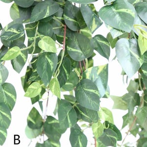 May include: A close-up of a green and yellow artificial vine with leaves. The vine is hanging down and the leaves are variegated.