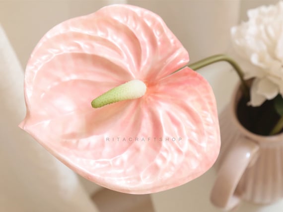 Kopida 5 fiori artificiali di anthurium finti in plastica per bouquet di fiori di anthurium per decorazione di nozze forniture per feste disposizione della tavola