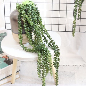 5 Stems Artificial String Of Pearls Fake Succulents Faux Senecio Rowleyanus Hanging Plant Basket Pearls Trailing Succulent String Of Beads