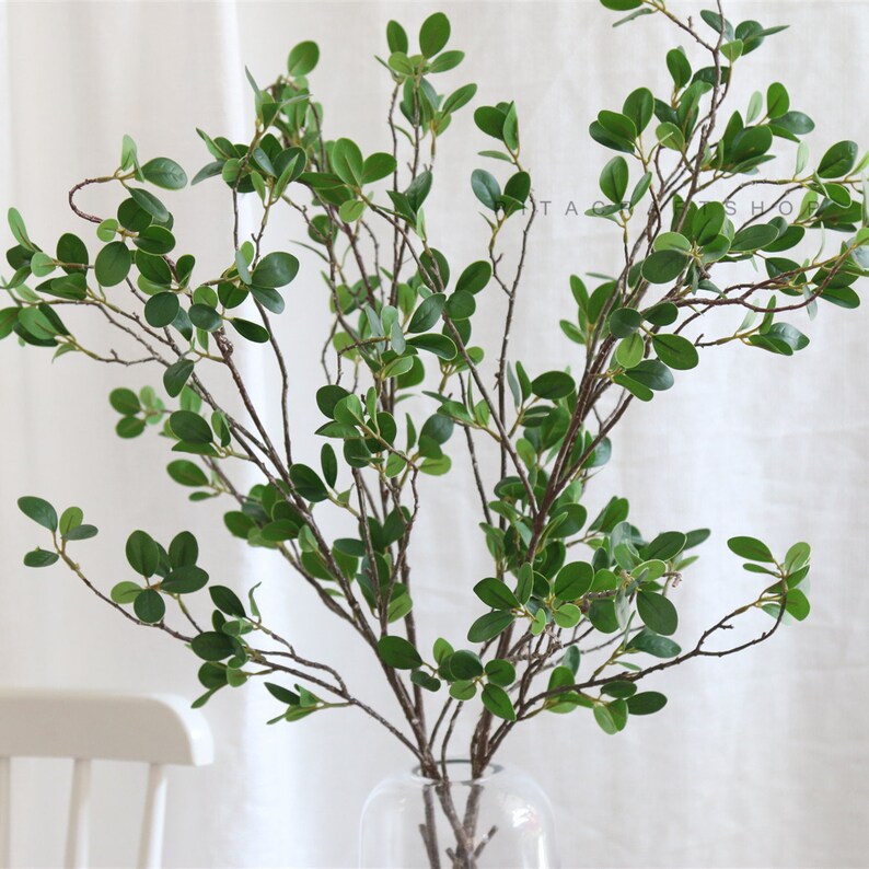 May include: A bouquet of artificial green leafy branches with brown stems in a clear glass vase. The branches are arranged in a vase on a white surface.