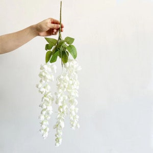 Pu&ograve; includere: Una ghirlanda di fiori di glicine artificiali bianchi con foglie verdi. La ghirlanda pende a cascata di fiori.