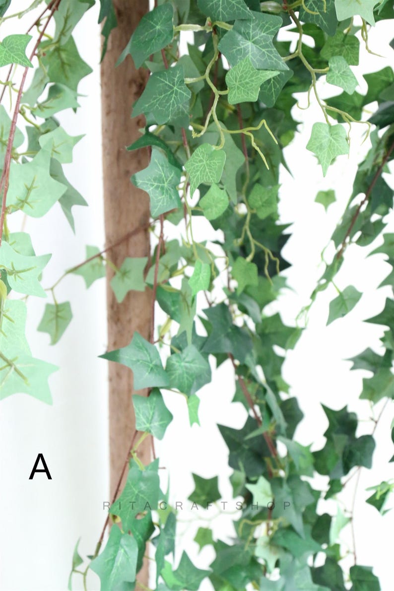 May include: A close-up of a green artificial ivy vine with a brown wooden stick in the center. The vine is hanging down and the leaves are in focus.